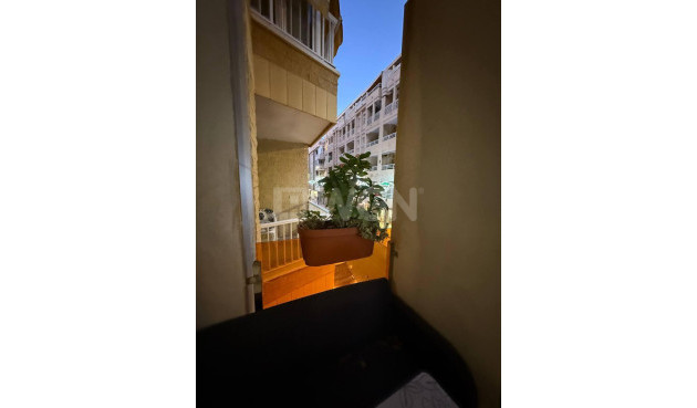 Odsprzedaż - Mieszkanie w bloku - Torrevieja - La Mata