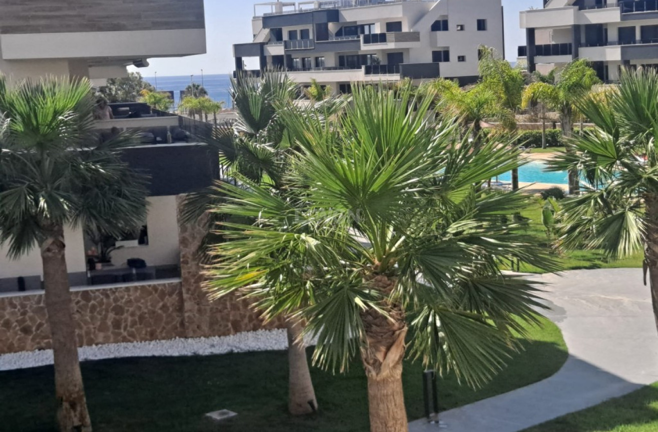 Resale - Apartment / flat - Playa Flamenca - Costa Blanca