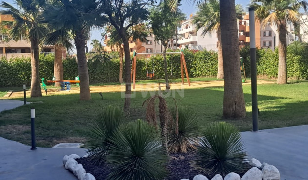 Resale - Apartment / flat - Playa Flamenca - Costa Blanca