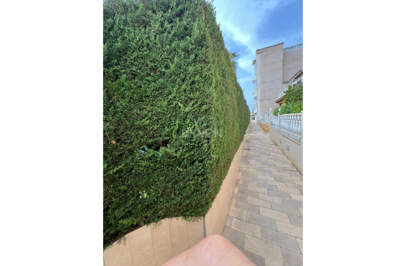 Wiederverkauf - Duplex - Orihuela Costa - Punta Prima