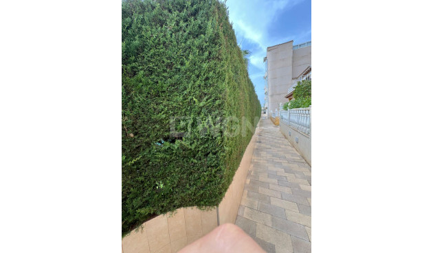 Wiederverkauf - Duplex - Orihuela Costa - Punta Prima