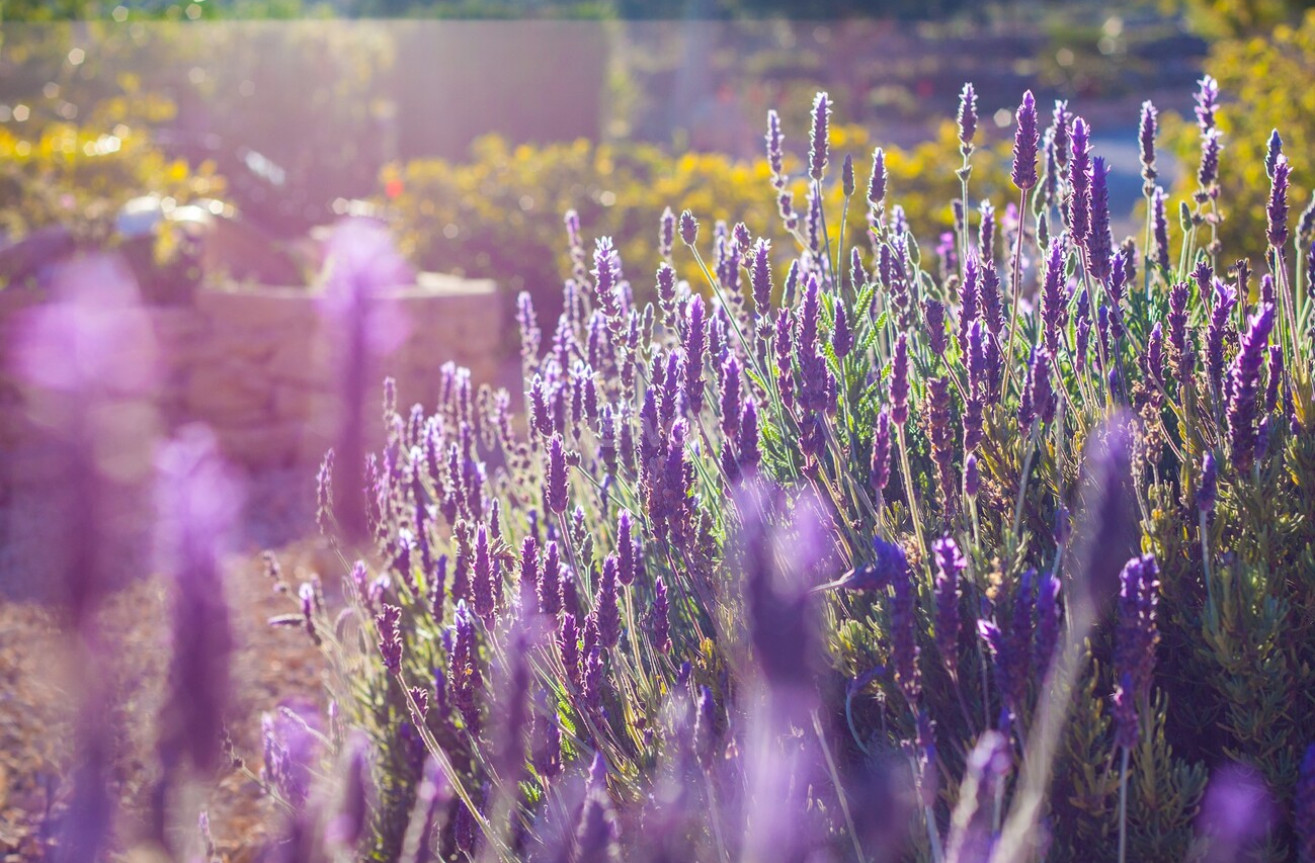 Wiederverkauf - Villa - Benissa - Costa Blanca