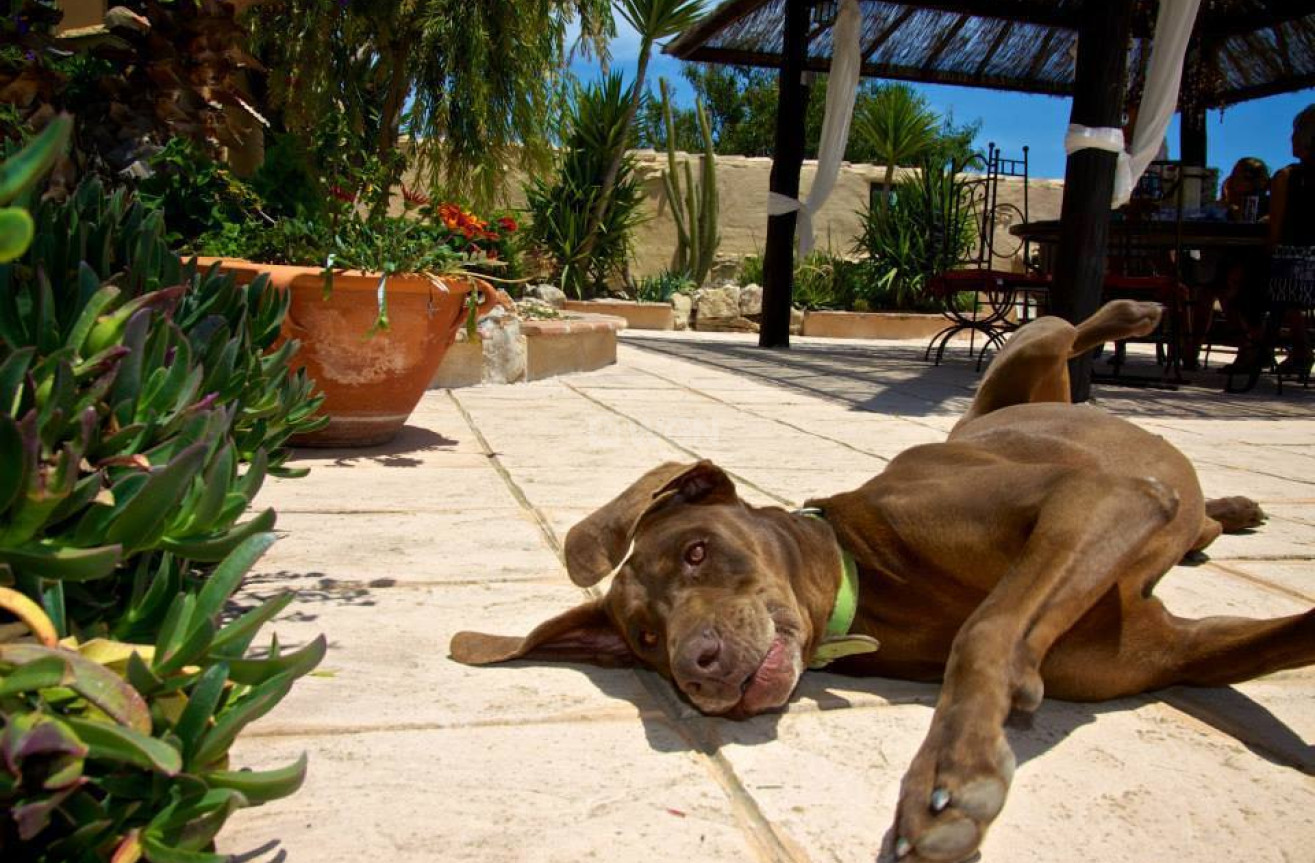 Wiederverkauf - Villa - Benissa - Costa Blanca