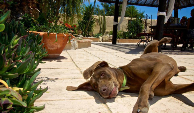 Wiederverkauf - Villa - Benissa - Costa Blanca