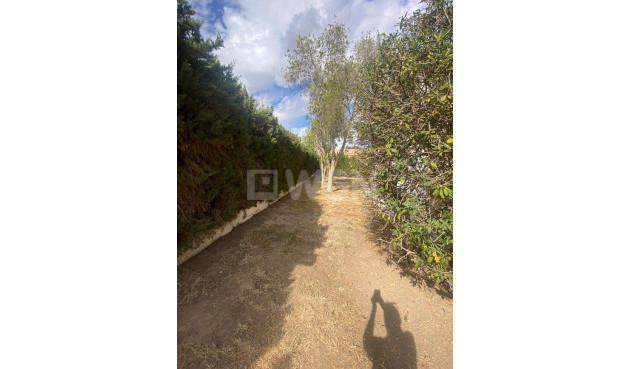 Odsprzedaż - Villa - Los Balcones - Costa Blanca