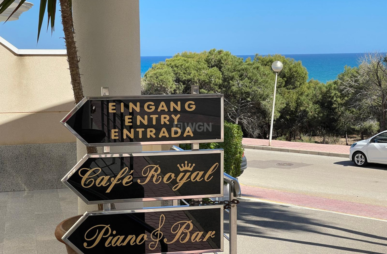 Resale - Commercial - Guardamar del Segura - Costa Blanca