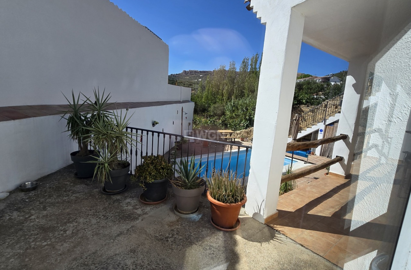 Resale - Villa - Periana - Inland