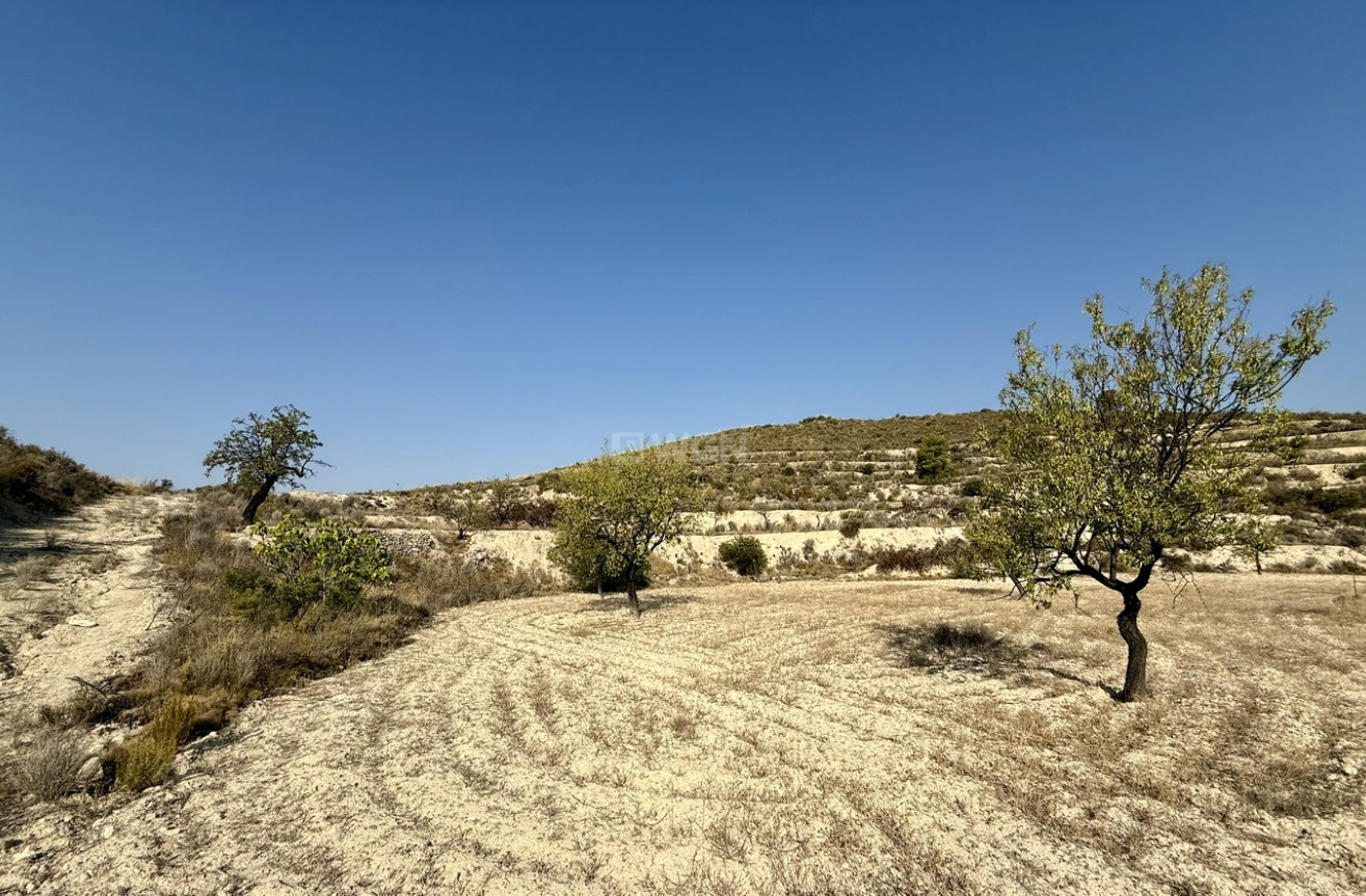 Resale - Plot / Land - Relleu - Costa Blanca