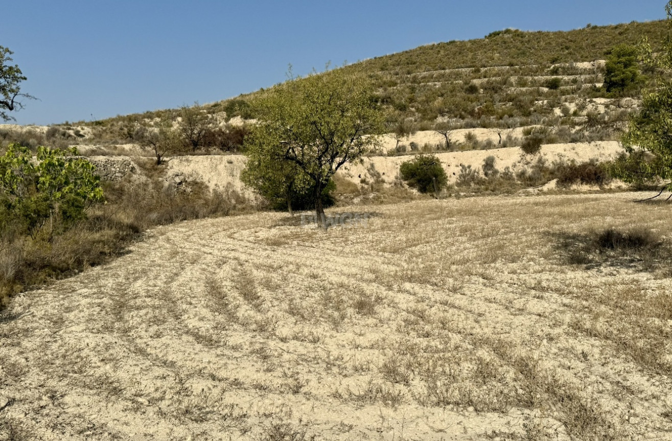 Resale - Plot / Land - Relleu - Costa Blanca