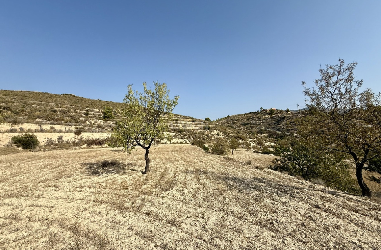 Resale - Plot / Land - Relleu - Costa Blanca