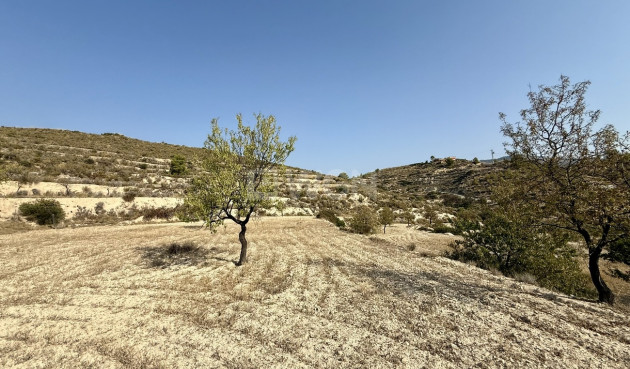 Resale - Plot / Land - Relleu - Costa Blanca