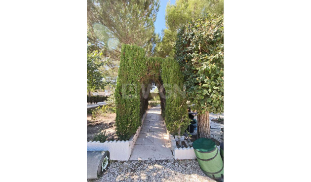 Odsprzedaż - Villa - Salinas - Inland