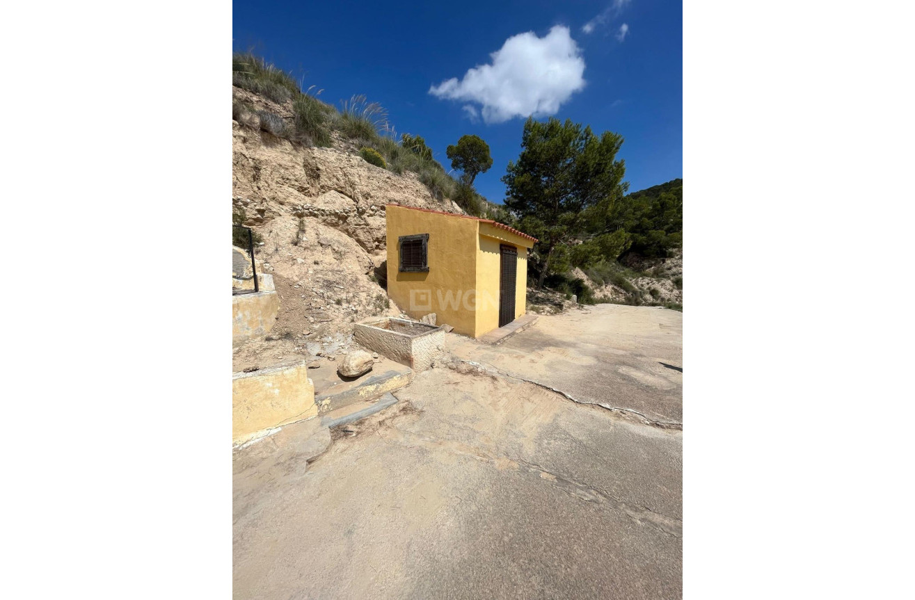 Odsprzedaż - Property - Abanilla - El Partidor