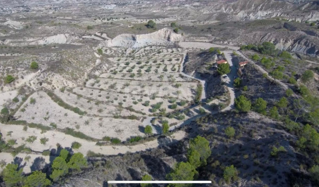 Odsprzedaż - Property - Abanilla - El Partidor