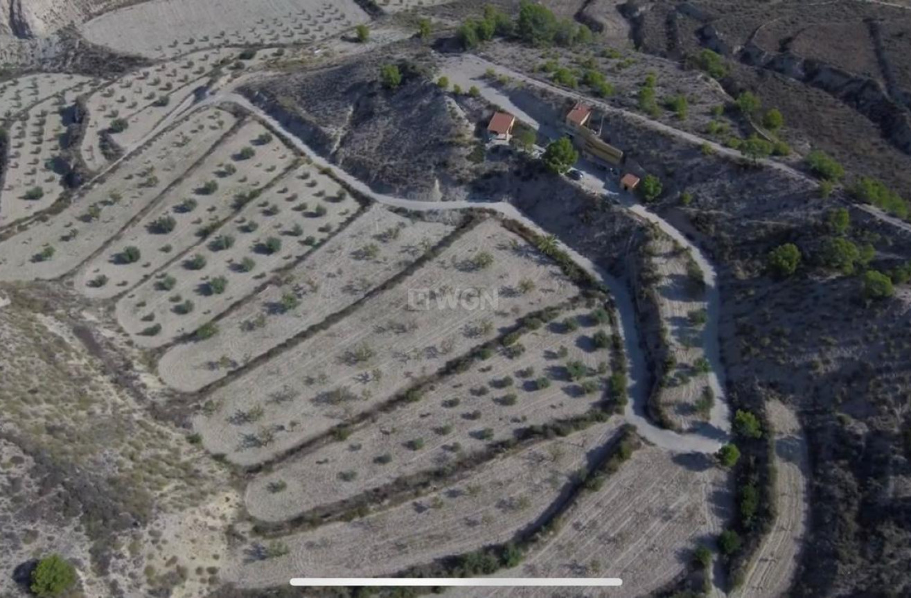 Odsprzedaż - Property - Abanilla - El Partidor