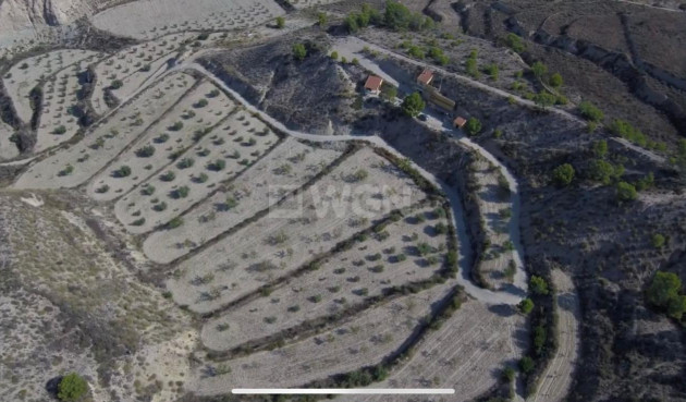 Odsprzedaż - Property - Abanilla - El Partidor