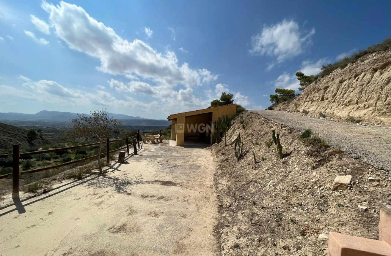 Odsprzedaż - Property - Abanilla - El Partidor