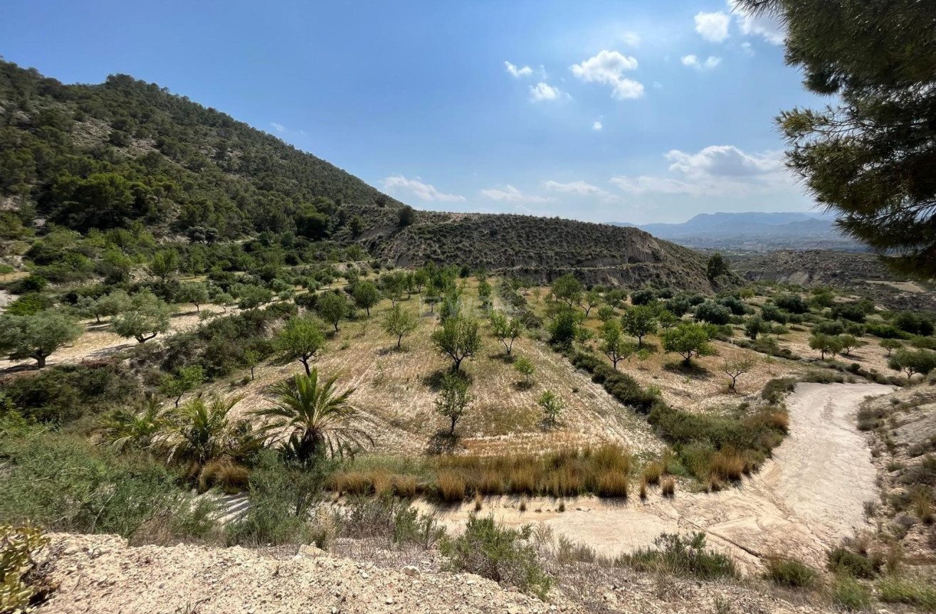 Odsprzedaż - Property - Abanilla - El Partidor