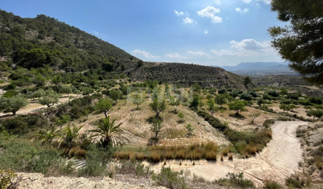 Odsprzedaż - Property - Abanilla - El Partidor