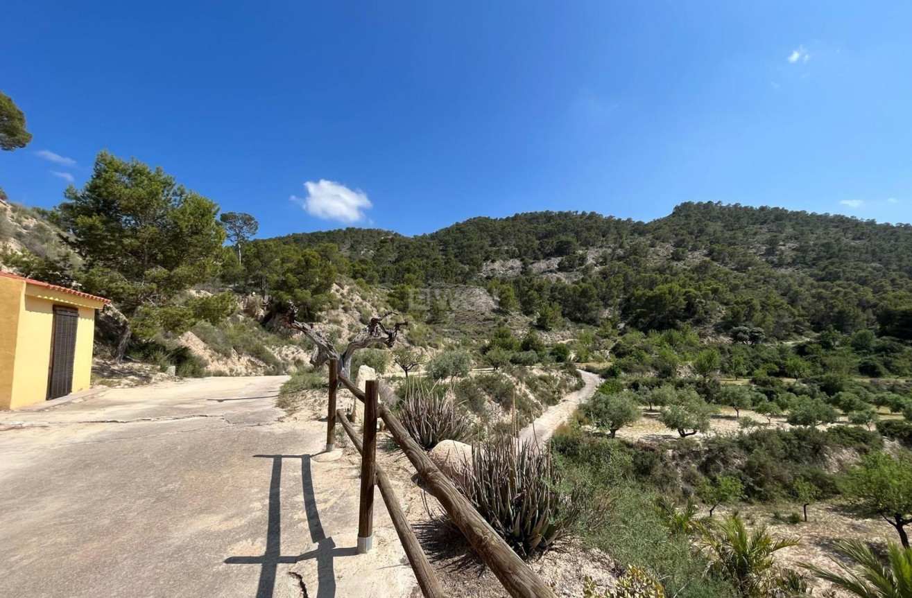 Odsprzedaż - Property - Abanilla - El Partidor