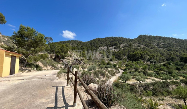 Odsprzedaż - Property - Abanilla - El Partidor