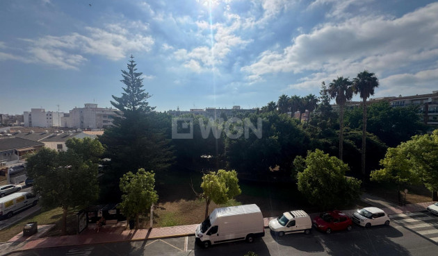 Odsprzedaż - Mieszkanie w bloku - Torrevieja - Costa Blanca