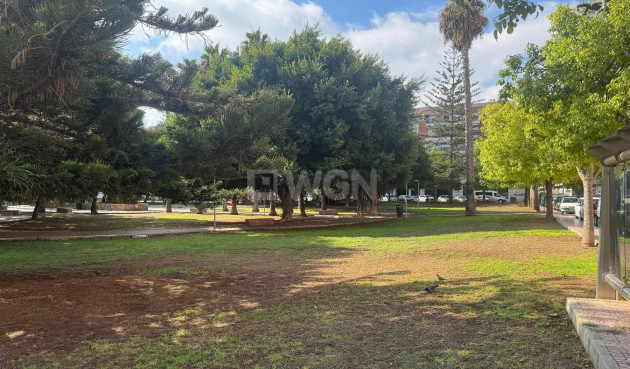 Odsprzedaż - Mieszkanie w bloku - Torrevieja - Costa Blanca