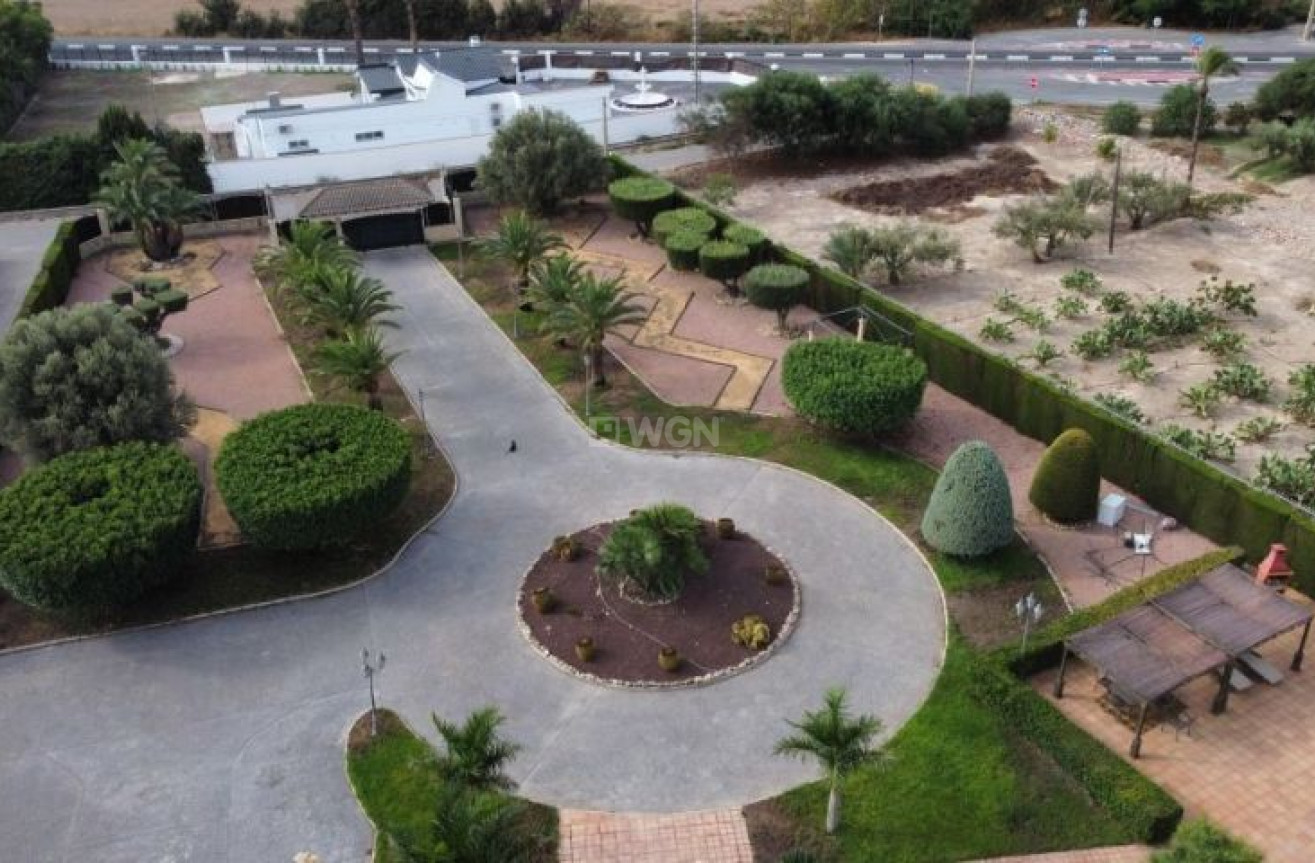 Resale - Villa - Elche - Costa Blanca