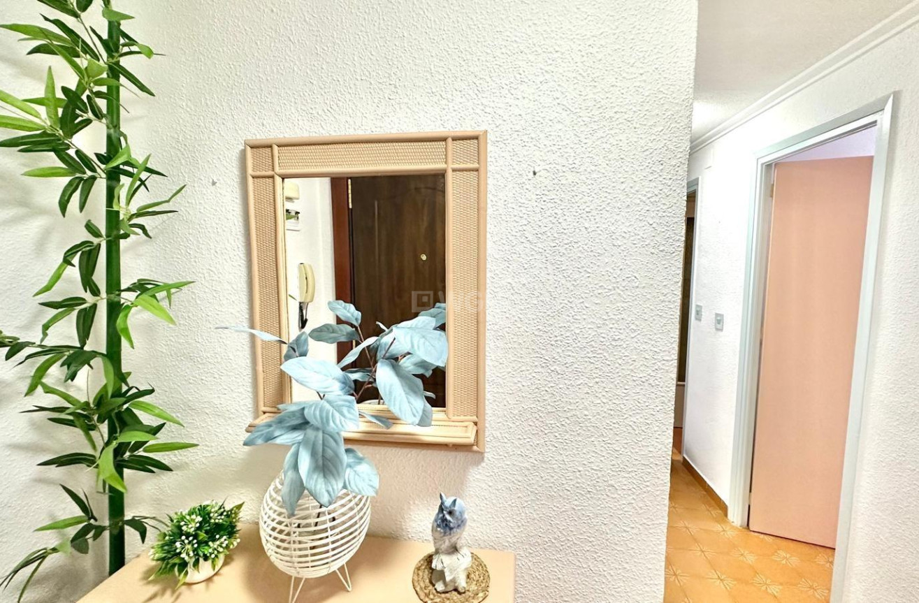 Wiederverkauf - Penthouse - Torrevieja - Centro