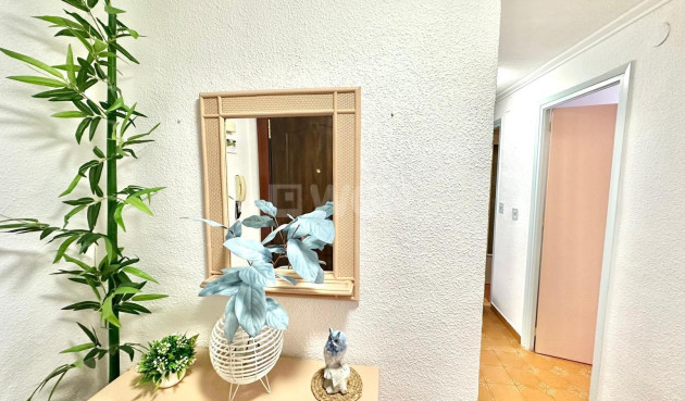 Wiederverkauf - Penthouse - Torrevieja - Centro