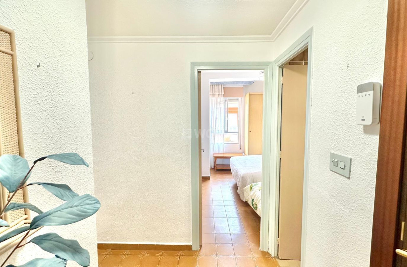 Wiederverkauf - Penthouse - Torrevieja - Centro