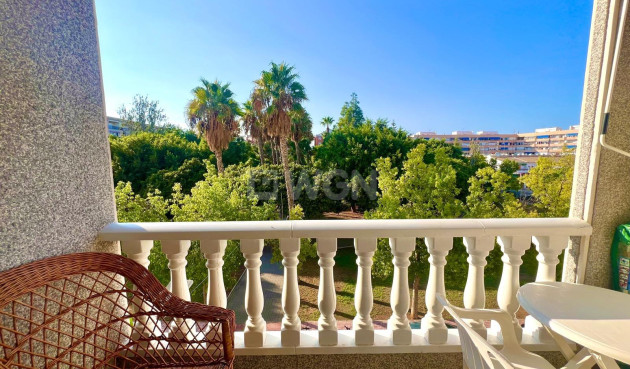 Resale - Apartment / flat - Torrevieja - Acequion