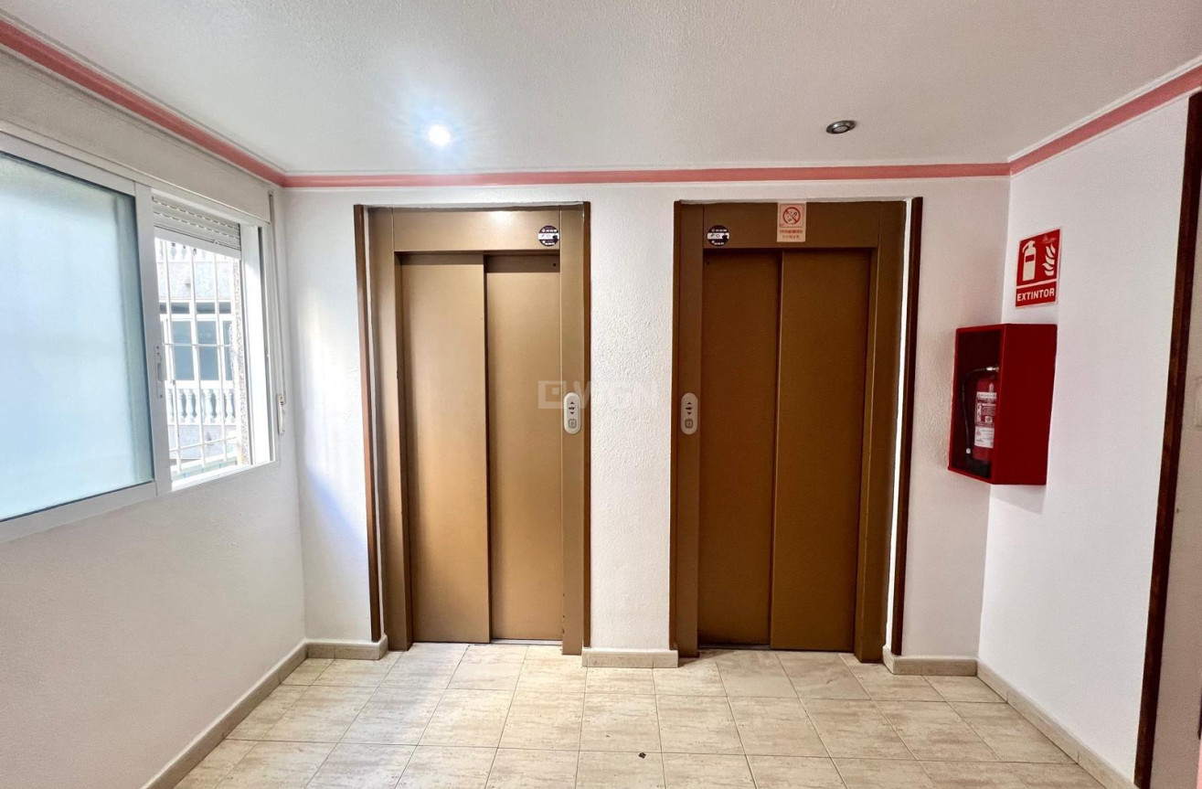 Resale - Apartment / flat - Torrevieja - Acequion