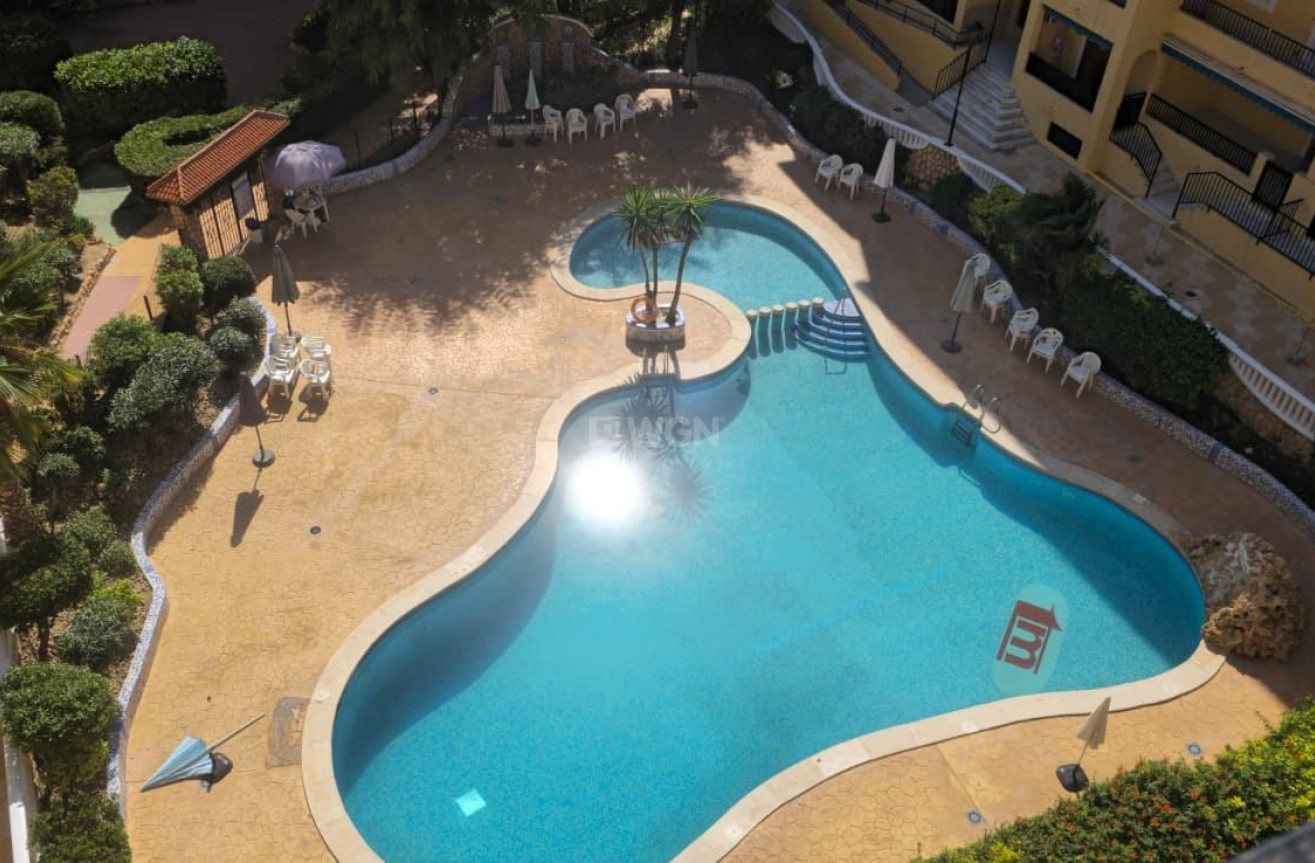 Odsprzedaż - Daszek - Torrevieja - La Mata