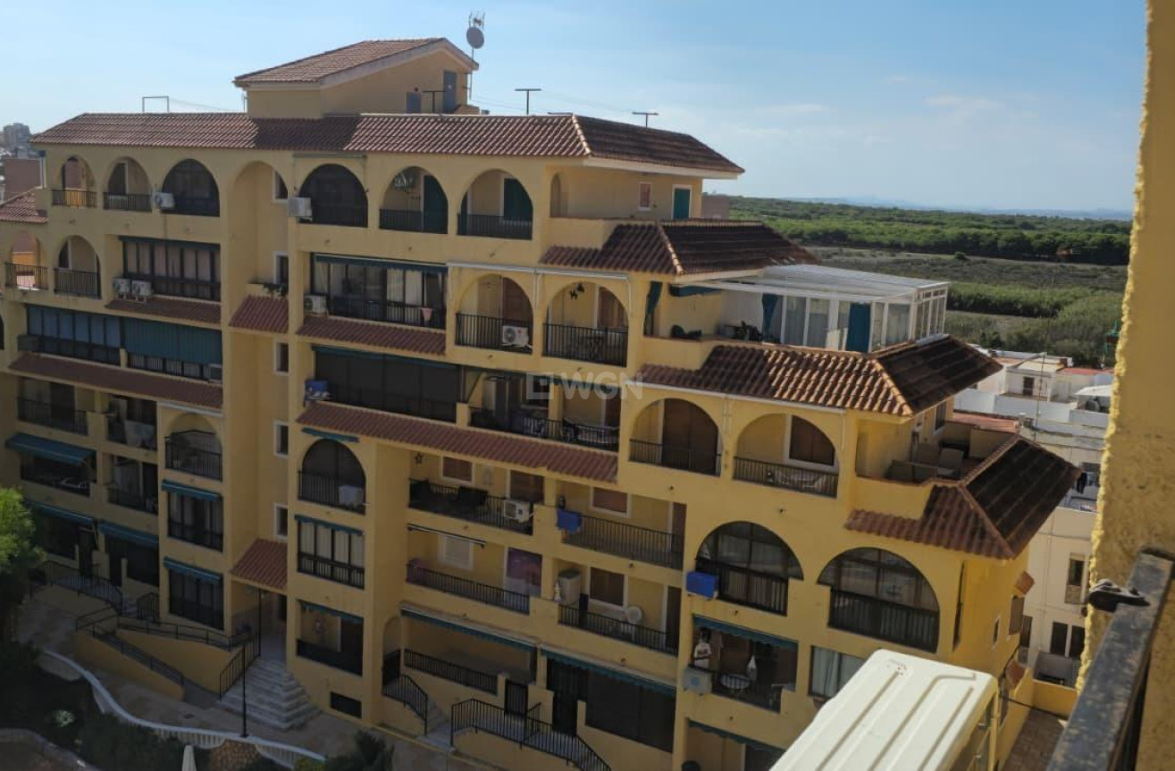Odsprzedaż - Daszek - Torrevieja - La Mata
