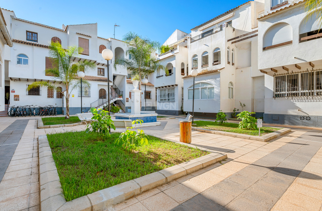 Odsprzedaż - Mieszkanie w bloku - Torrevieja - Costa Blanca
