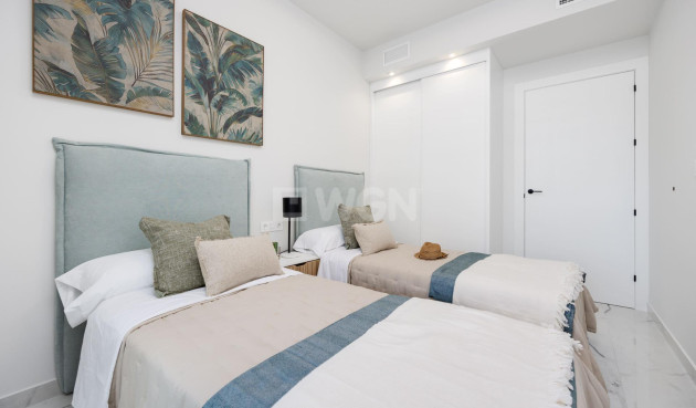 Nowy budynek - Daszek - San Miguel de Salinas - Pueblo