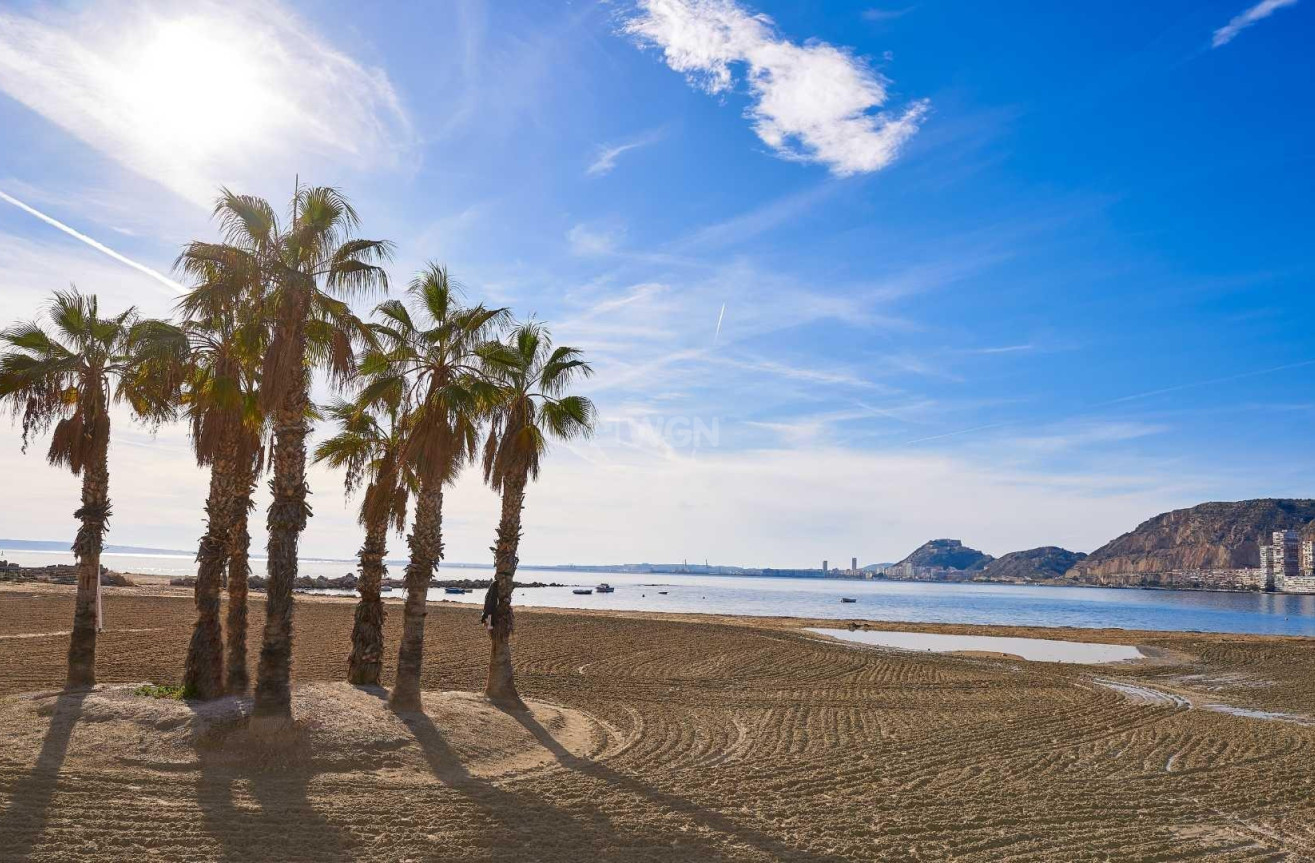 Nowy budynek - Villa - Els Poblets - Partida Barranquets