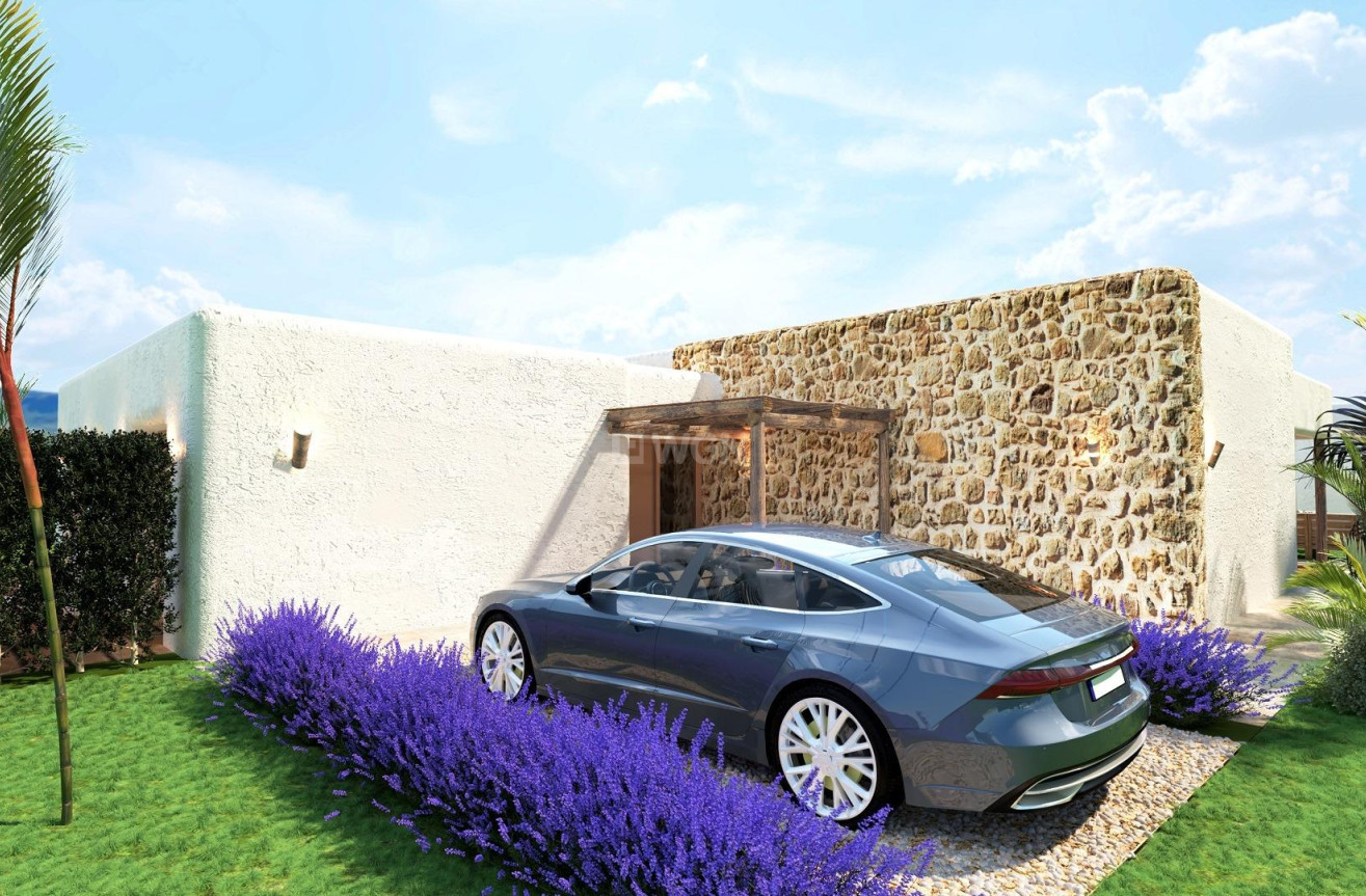 Nowy budynek - Villa - Pinoso - Rodriguillo