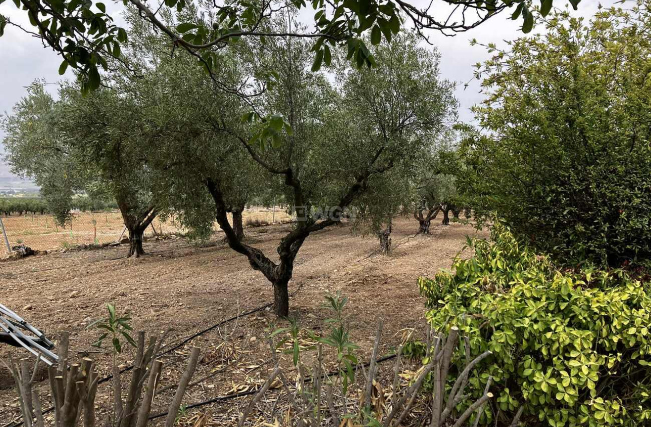 Odsprzedaż - Villa - Biar - Costa Blanca