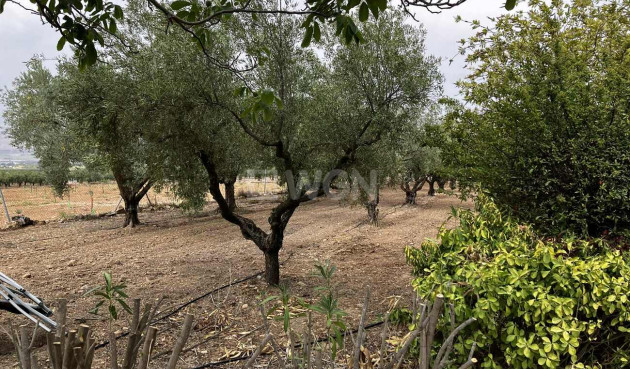 Odsprzedaż - Villa - Biar - Costa Blanca