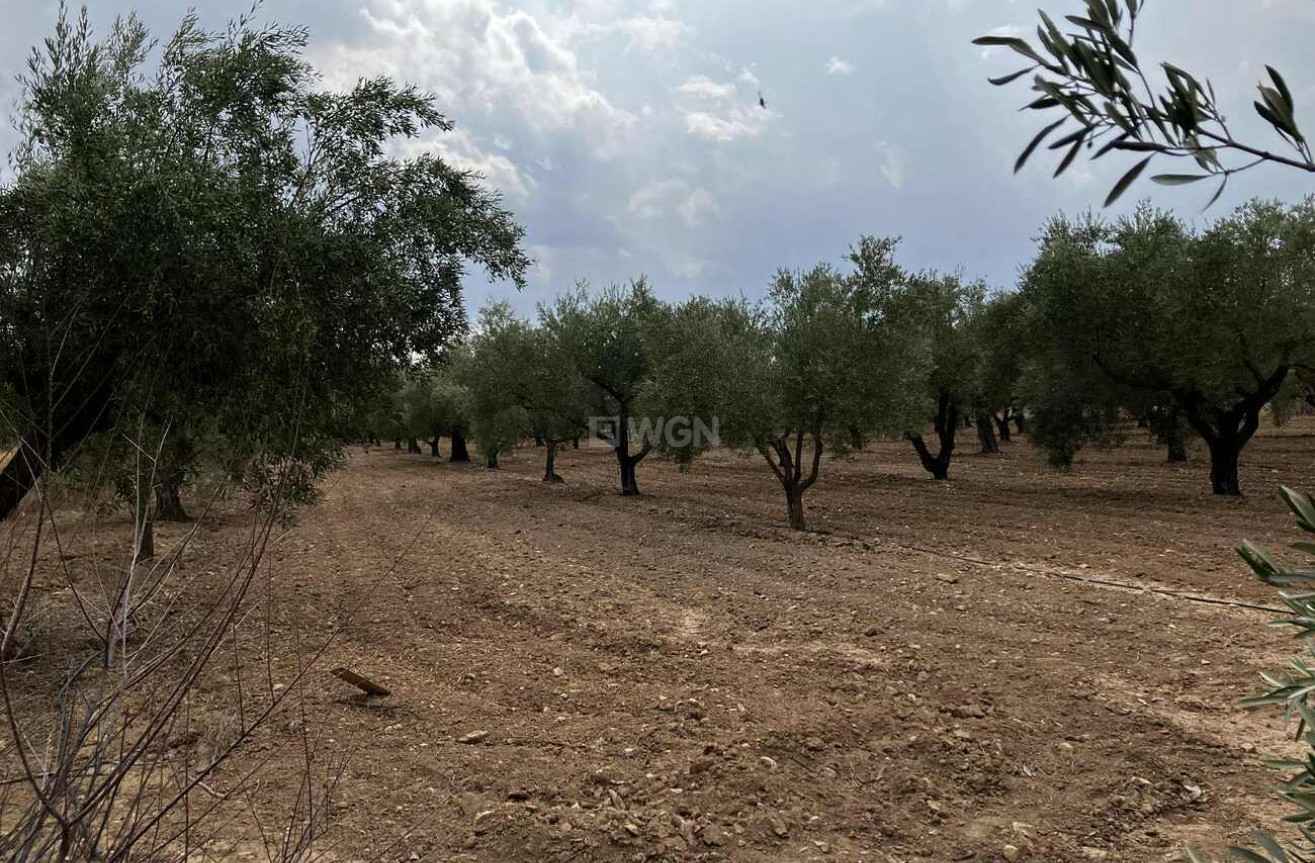 Odsprzedaż - Villa - Biar - Costa Blanca