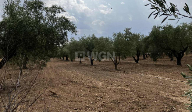 Odsprzedaż - Villa - Biar - Costa Blanca