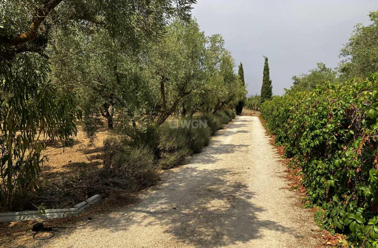 Odsprzedaż - Villa - Biar - Costa Blanca