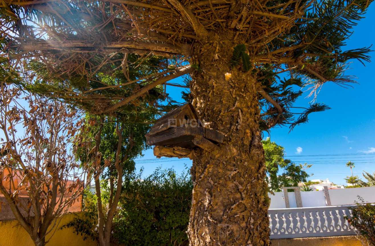 Resale - Villa - La Siesta - Costa Blanca