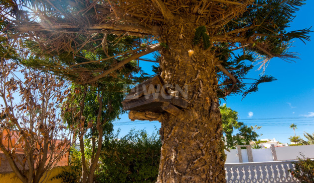 Resale - Villa - La Siesta - Costa Blanca