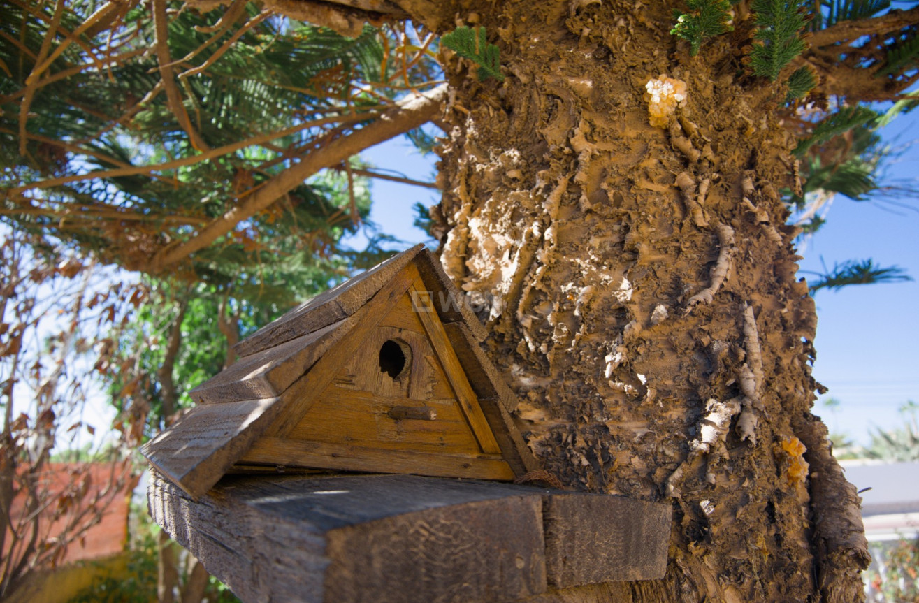 Resale - Villa - La Siesta - Costa Blanca