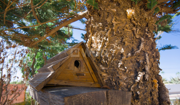 Resale - Villa - La Siesta - Costa Blanca