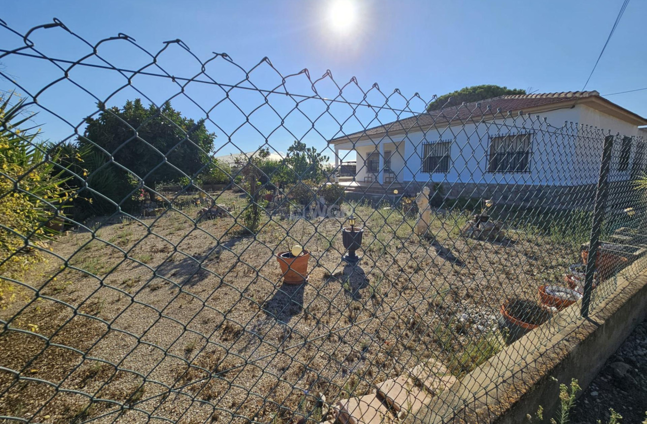 Odsprzedaż - Villa - Guardamar del Segura - Buenavista