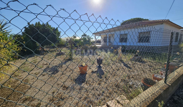 Odsprzedaż - Villa - Guardamar del Segura - Buenavista